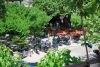 DSC_0027.jpg