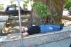 DSC_0073.jpg
