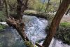 DSC_0221.jpg