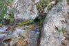DSC_0224.jpg